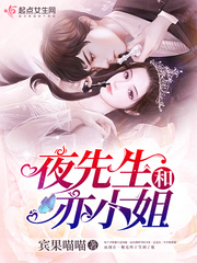 夜先生和亦小姐小说全本阅读