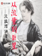 从流量到巨星不更新了