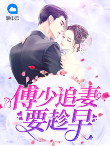 小说傅少追妻路漫漫