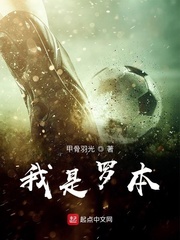 我是罗本小说免费阅读无弹窗