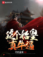 这个始皇有点强