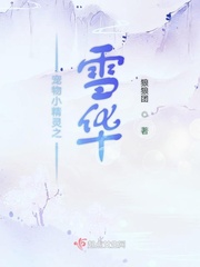 宠物小精灵之我