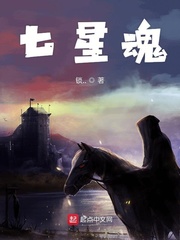 七星系列小说