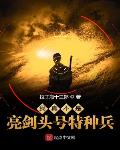 我真不是亮剑头号特种兵笔趣阁