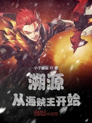 从海贼开始夺取世界本源