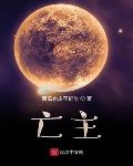 亡灵主宰 小说
