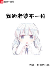 我的老婆不一样小说全本阅读