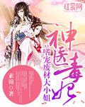 神医毒妃嗜宠废材大小姐 小说