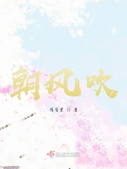 朝暮风雨事免费阅读