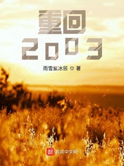 重回2003最新章节免费阅读