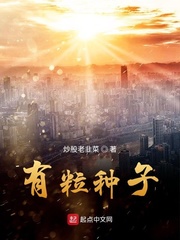 种子大师小说全文阅读