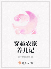 月下的翊坤宫的小说