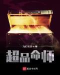 超品命师后续