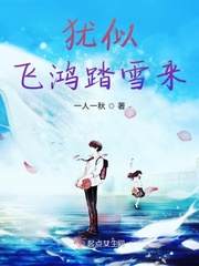 犹似飞鸿踏雪来小说