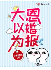 大恩以婚为报小说txt免费