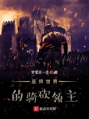 巫师世界的大领主