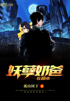 叶辰仙尊奶爸小说阅读免费