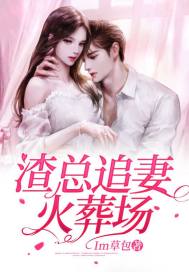 渣总追妻火葬场 阳天 小说