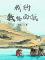 小说我的数据面板