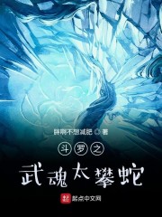 斗罗之武魂天敌小说