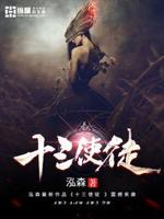 变形金刚十三使徒小说