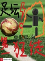 足坛第一狂徒起点