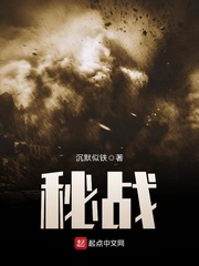 秘战无声电视剧全集剧情介绍