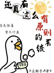 还真有这么有原则的系统txt小说免费阅读