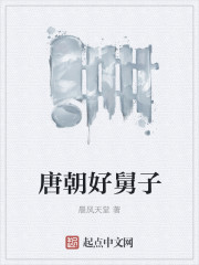 唐朝好舅子小说全文免费阅读百度云