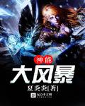 神能大风暴小说免费阅读下载