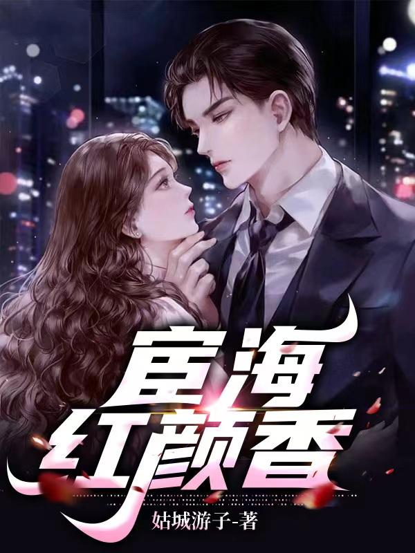 宦海红颜(小说)