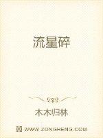 流星小说免费阅读