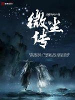 微尘传说张绣金匾