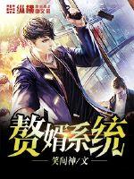 赘婿系统杀敌爆修为的小说
