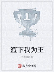 篮下我为王全文阅读