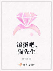 猫先生小说免费阅读全文